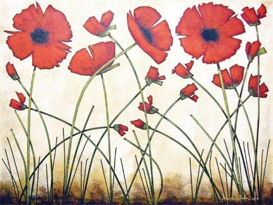 Warm Red Poppy Print