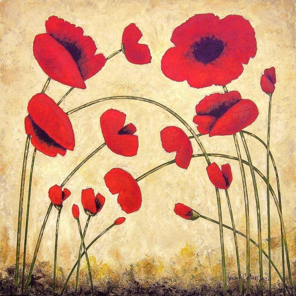 Red Poppy Canvas Print - "Bright Red Poppies"