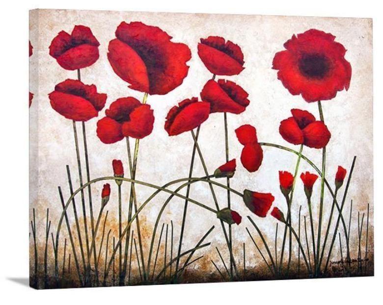 Red Poppy Canvas Print - " Poppies Growing"