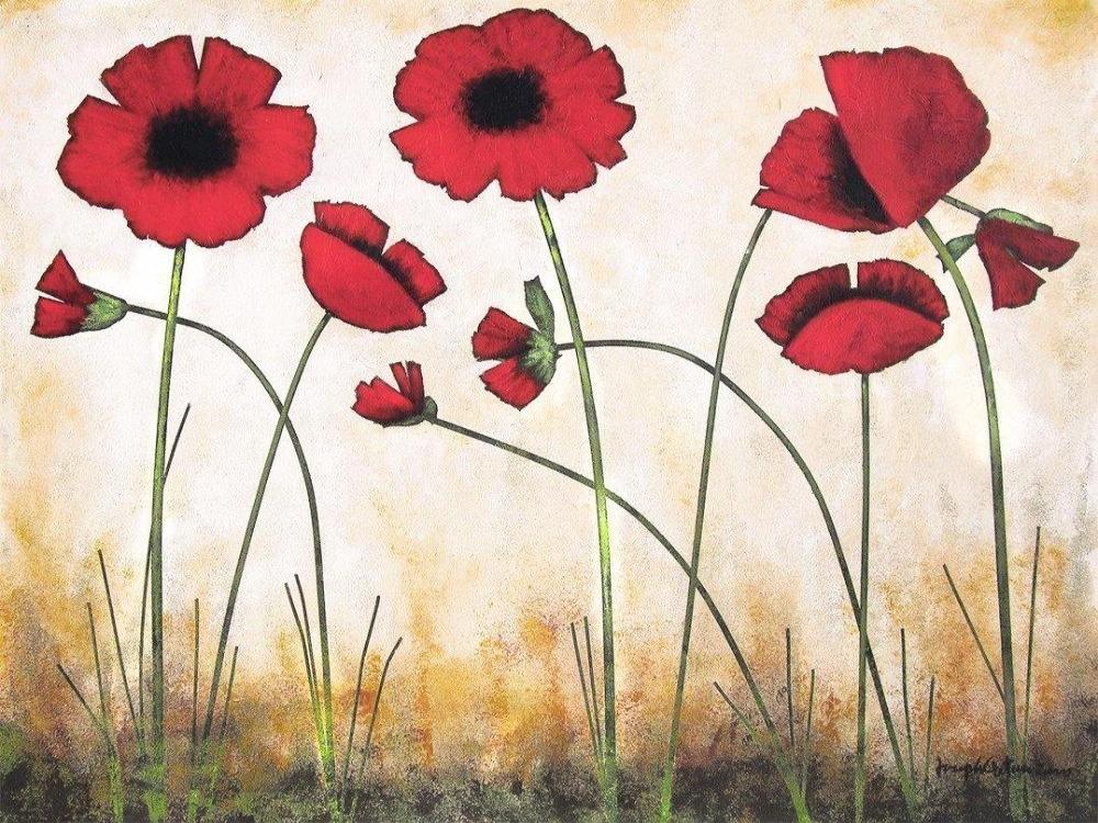 Poppy Print on Canvas